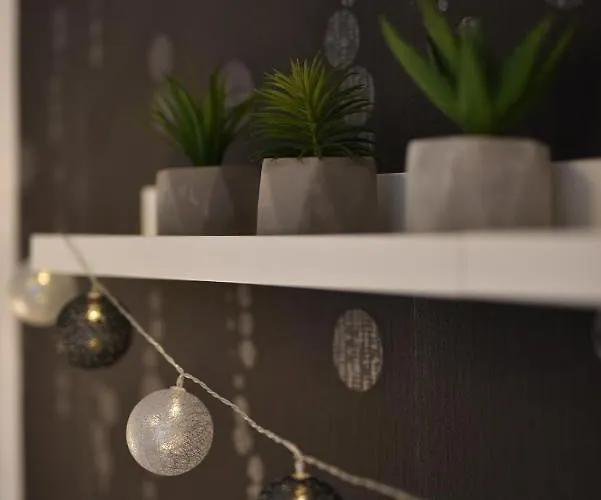 Kiralykut 2 - Ingyen Parkolas, Bicajok, Ac Apartment Székesfehérvár